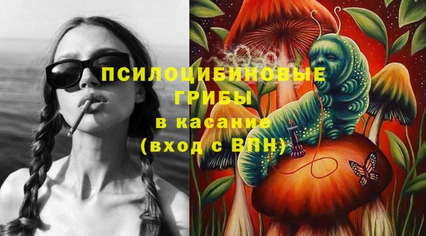 гидра Магас