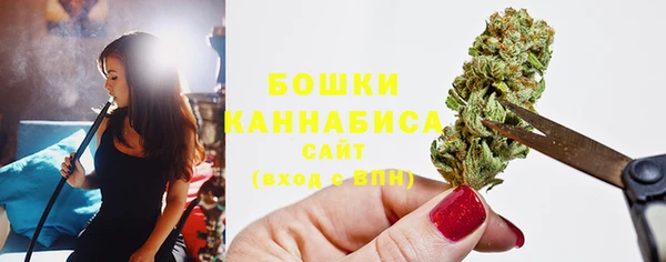 гидра Магас