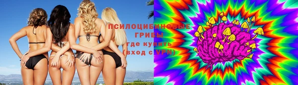 гидра Магас
